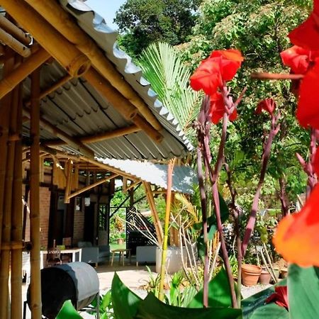 Bamboo Cottage Langkawi 판타이체낭 외부 사진
