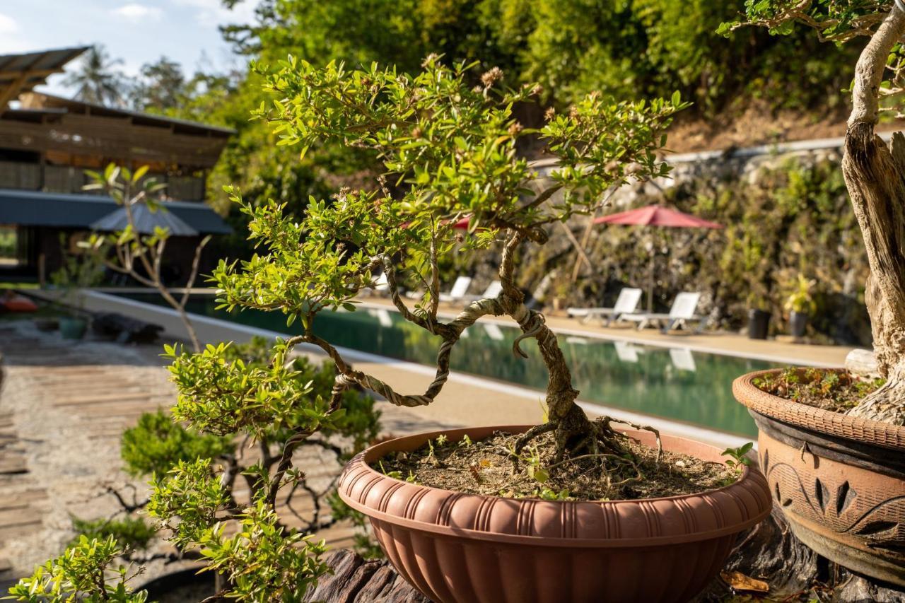 Bamboo Cottage Langkawi 판타이체낭 외부 사진