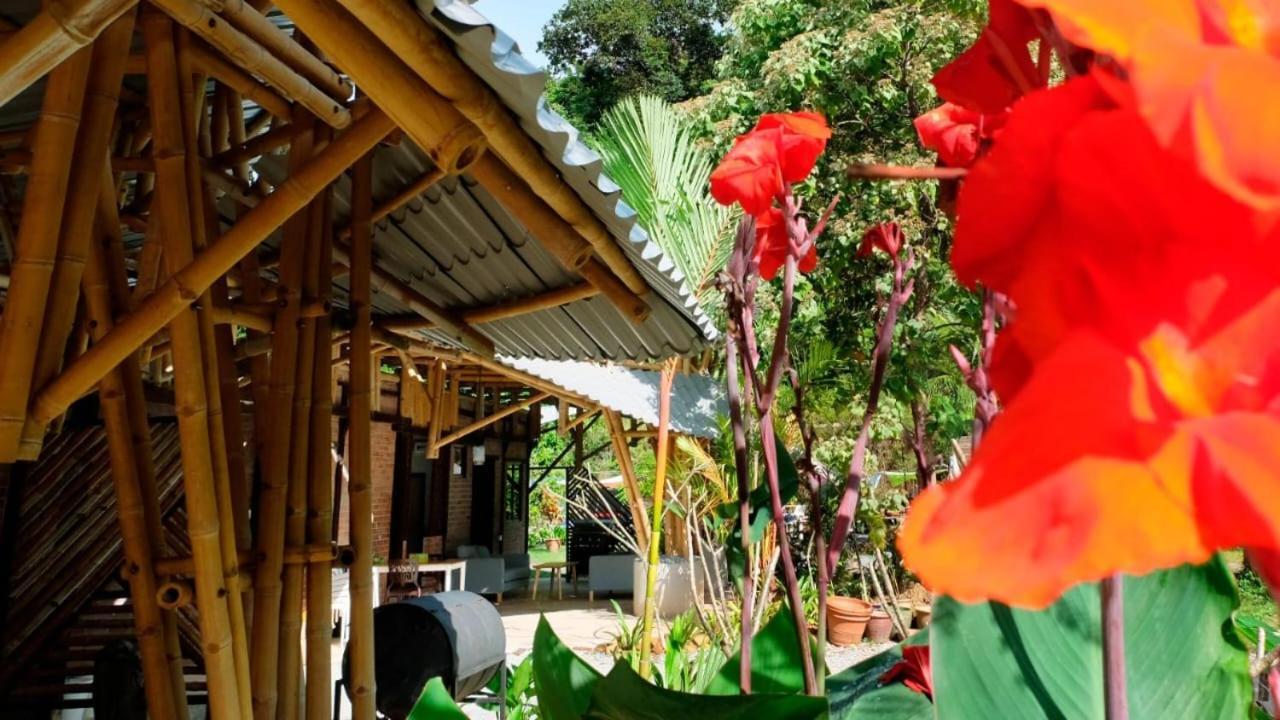 Bamboo Cottage Langkawi 판타이체낭 외부 사진